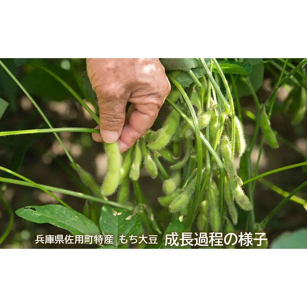 もち大豆醤油 360ml×4本 天然醸造 杉桶仕込み 佐用町特産 もち大豆使用