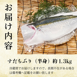 ぶり フィレ すだちぶり 半身 1枚 1.3kg 冷蔵 徳島 養殖