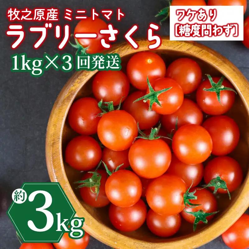 ミニトマト 3kg (1kg×3回) 訳あり 定期便 【ミニトマト】 山本農園