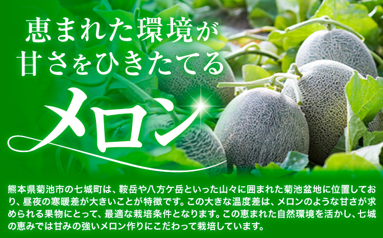 つるたファームの朝採り肥後グリーンメロン 2玉セット《5月上旬-5月下旬頃出荷》 フルーツ くだもの 果物 メロン グリーンメロン 肥後グリーンメロン 