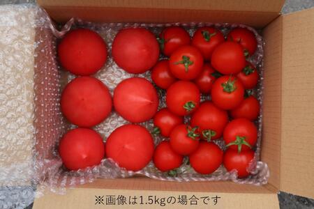 北海道壮瞥町産 トマト食べ比べ2種セット2kg(ラビットゴッホ＆ルネッサンス) SBTAJ013