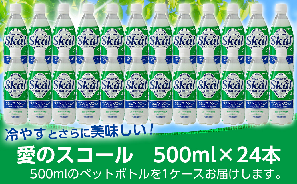 愛のスコール 500ml×24本_AA-2302