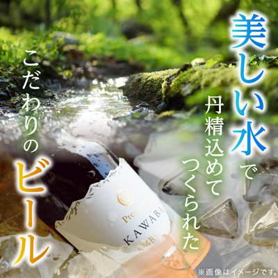 雪ほたかピルスナー　24本セット【1446346】