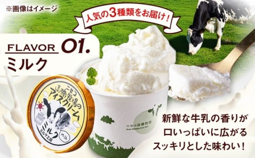 カップアイスセット(130ml×10個) アイス アイスクリーム ジェラ―ト ミルク 抹茶 ブルーベリー セット