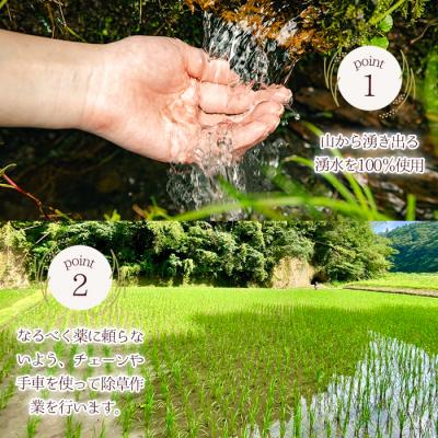 ふるさと納税 曽於市 【2025年11月以降順次発送予定】柏木さんこだわりのうまSoo米(5kg) |  | 02