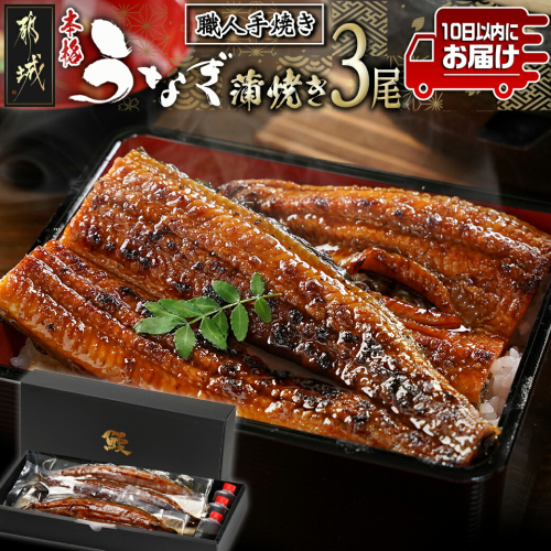 職人手焼きの本格うなぎ蒲焼き3尾≪みやこんじょ特急便≫_AC-33-003-3-Q