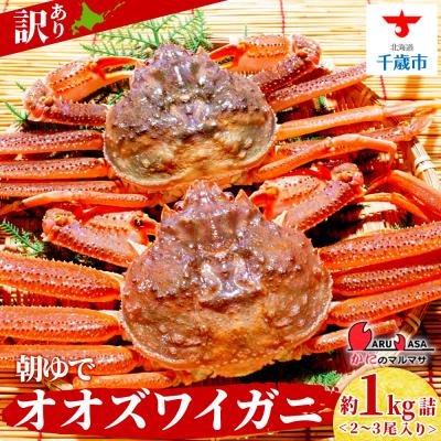 ふるさと納税 千歳市 北海道産【 朝ゆで 】訳ありオオズワイガニ 1.0kg詰 道産品 ズワイガニ ずわい蟹 不揃い