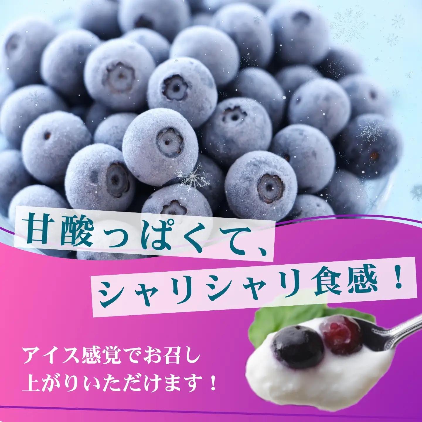 [A562-01]【訳あり】冷凍ブルーベリー500ｇ（500g×1パック）2026年シルクファーム産