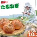 【ふるさと納税】 訳あり 玉ねぎ 野菜 約10kg サイズ 混合 不揃い 規格外 夏 野菜 数量限定 常温 産地直送 期間限定 旬 サラダ スープ 10キロ 徳島県 阿波市