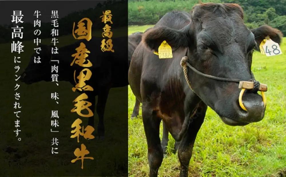 【種類・容量が選べる】国産黒毛和牛もつ鍋セット もつ鍋一藤 味噌味 醤油味 食べ比べ | 2‐8人前 モツ鍋 もつなべ 鍋 冷凍食品 取り寄せ もつ セット ホルモン鍋 味噌 みそ 醤油 しょうゆ 食