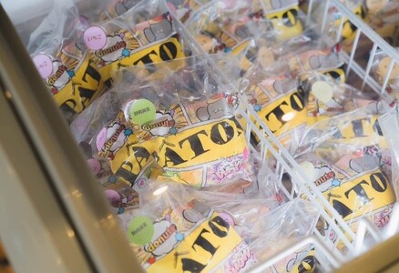 ドーナツ チョコ 10個 セット ドーナツ