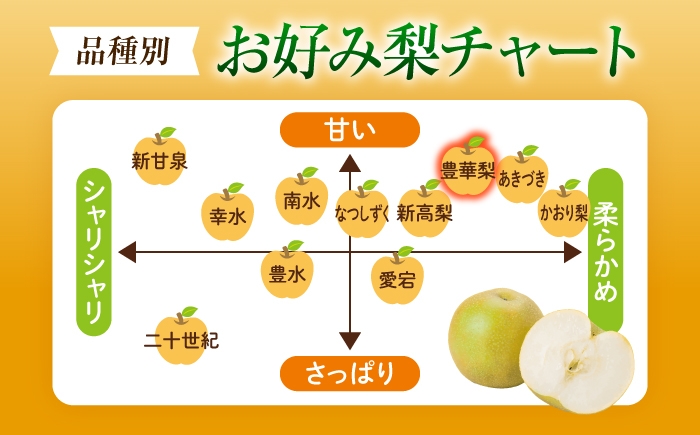 フルーツ 果物 くだもの 食品 人気 おすすめ 梨 なし ゆたか 和梨 甘い 旬 ふるさと納税 梨 ナシ なし 豊華梨