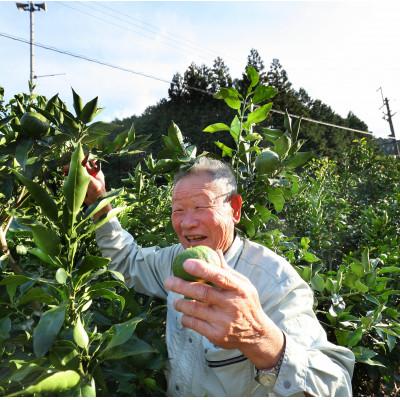 ふるさと納税 下北山村 じゃばら生搾りとポン酢セット 300mlx各1本 奈良下北山村育ちのジャバラ |  | 03
