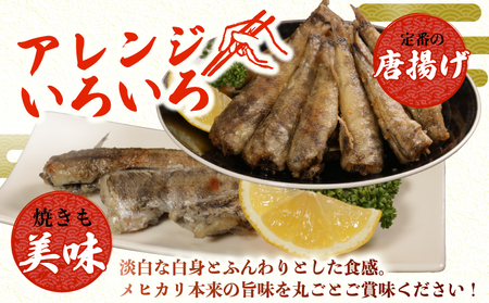 【訳あり】パクっとメヒカリ 約1.5kg メヒカリ メヒカリ メヒカリ メヒカリ メヒカリ 大一奈村魚問屋