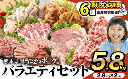 豚肉 バラエティセット【2回定期】 合計約5.8kg(2.9kg×2回)《申込み翌月から出荷)》 豚肉豚肉豚肉豚肉