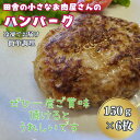 【ふるさと納税】田舎の小さなお肉屋さんのハンバーグ 150g×6個：B130-022