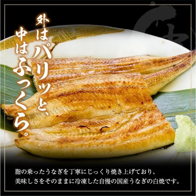 ＜6回定期便＞国産 うなぎ 白焼 有頭 1尾（181～215g）×6か月 計1kg以上 たれ付き 宮崎県産 鰻 中村商店
