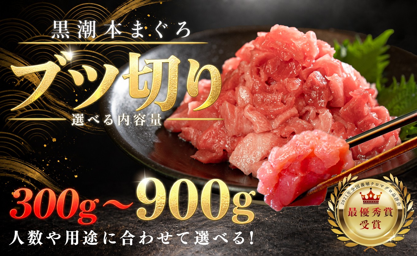 
                  訳あり 不定貫 国産 養殖本マグロ ブツ切り 選べる 300g ～ 900g 黒潮本まぐろ 全国養殖クロマグロ品評会 最優秀賞受賞 柵 刺身用 本マグロ クロマグロ 本鮪 まぐろ 鮪 お刺身 さしみ ぶつ切り ネギトロ たたき ユッケ 海鮮丼 漬け丼 手巻き寿司 鉄火丼 まぐろ丼 小分け 個包装 真空パック 冷凍 不揃い 家庭用 海鮮 年末年始 高知県 大月町 1万円 以下 2万円
                