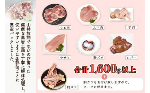 ＜黒岩土鶏(丸ごと一羽分)合計1,600g以上＞
