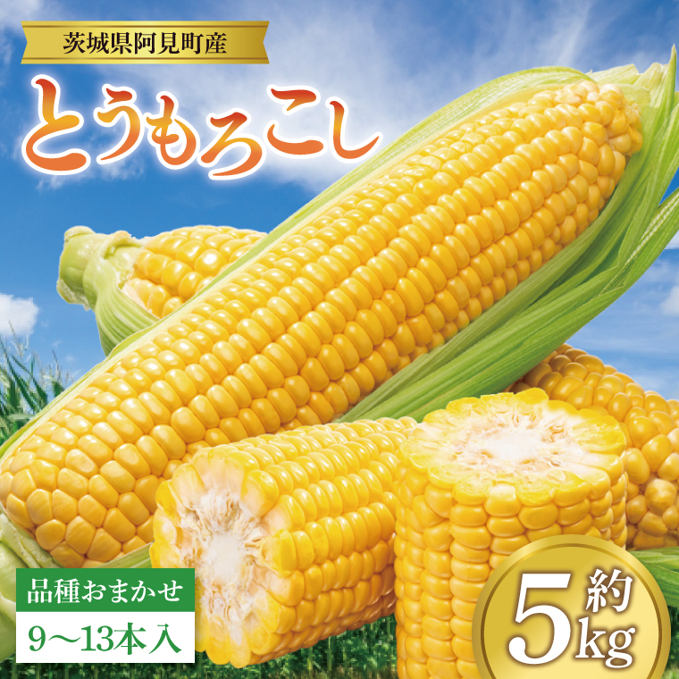 【先行予約 6月中旬から順次配送】とうもろこし　9本～13本入り（約5kg）【野菜 甘い トウモロコシ 玉蜀黍 茨城県 阿見町産】(76-06)