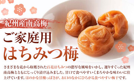 【ふるなびWEEK対象】紀州産南高梅 ご家庭用 減塩 はちみつ梅 1kg 塩分約5% 株式会社 東乃匠《30日以内に出荷(土日祝除く)》 和歌山県 日高川町 紀州南高梅 はちみつ 梅干し FN-Lim
