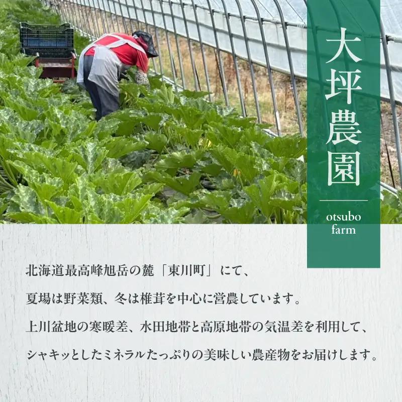 【大坪農園】夏の恵み　北海道東川町産　スイートコーン10本入り