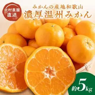 【0613-4】濃厚温州みかん5kg（和歌山天田みかん）みかんの産地和歌山 北村農園直送《先行予約》