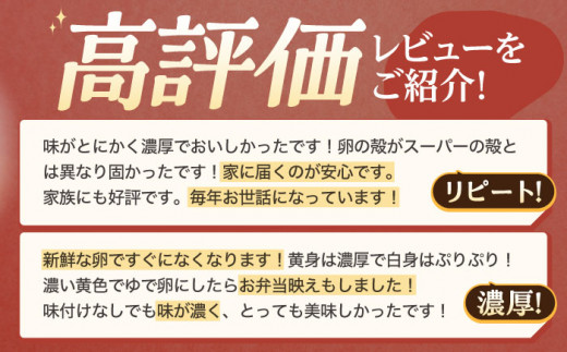 【3回定期便】産みたて新鮮卵 野中のたまご  160個×3回 計480個【野中鶏卵】[OAC010] / 卵 長持ち 濃厚 玉子 濃厚 卵料理 タマゴ 鶏卵 オムレツ 卵かけご飯 卵焼き