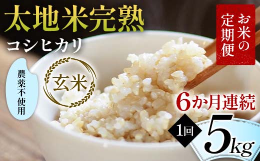 
            お米の定期便 農薬不使用米 太地米完熟 【こしひかり】 玄米5kg×6か月連続 ブランド米 お米 人気 F7X-0417
          