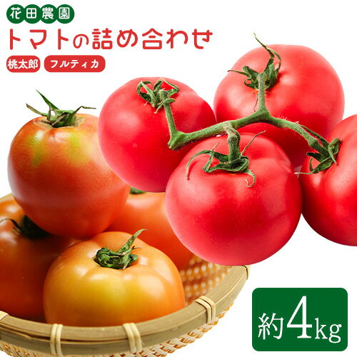 【ふるさと納税】トマト2種の詰め合わせセット 約4kg 花田農園《6月上旬-7月末頃出荷》野菜 トマト 送料無料 福岡県 鞍手町