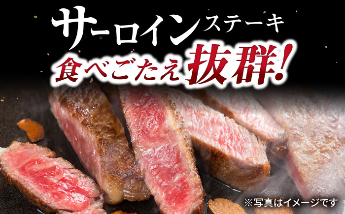 長崎和牛サーロインステーキ2枚セット 計640g / 牛肉 サーロインステーキ さーろいんすてーき サーロイン さーろいん ステーキ すてーき 小分け / 大村市 / おおむら夢ファームシュシュ[AC