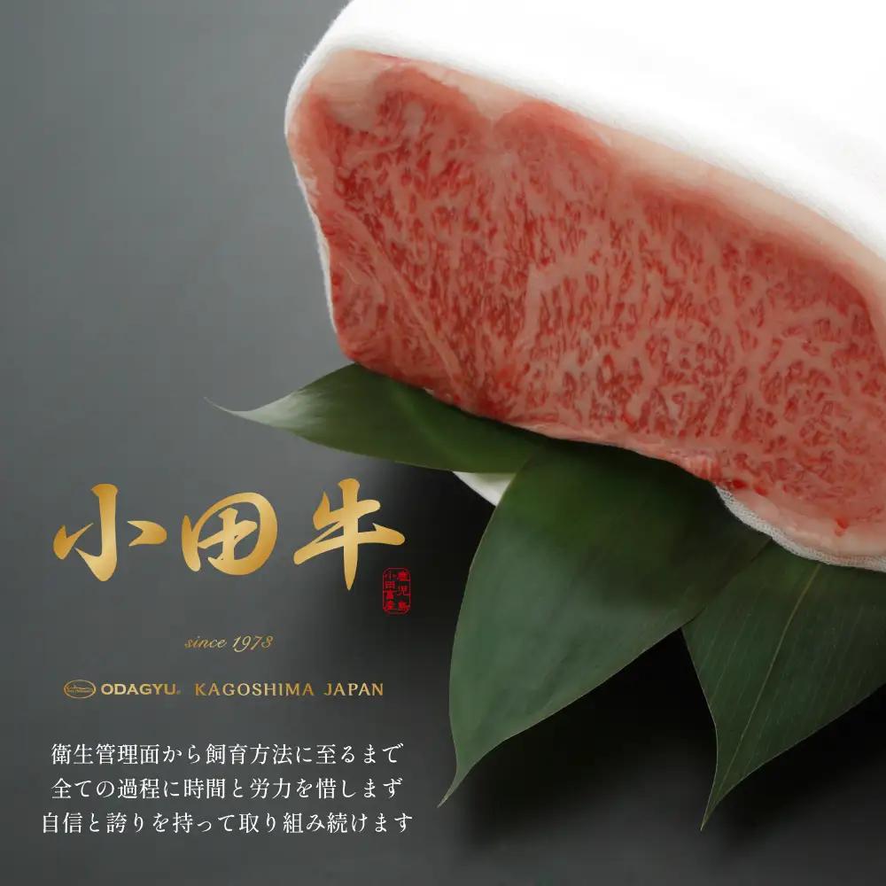 【プレミアムブランド】「小田牛」レトルト4種セット (カレー・パスタ・牛とろ煮込み・混ぜご飯の素) 牛肉 お肉 惣菜 常温保存 簡単調理 湯煎 おかず レトルト セット 和食 洋食 ビーフカレー ボロ