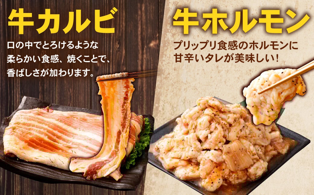 お試し！バラエティパック（牛ハラミ・豚ハラミ・タレ漬け牛カルビ・タレ漬け牛ホルモン） 各約250g×1パック 計約1.0kg