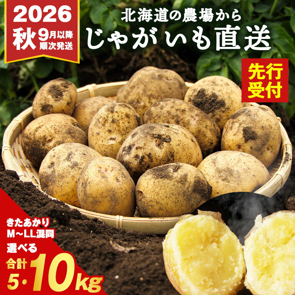 【ふるさと納税】【2026年 秋 発送予約】じゃがいも きたあかり 選べる5kg・10kg 北海道 別名「栗じゃが」甘くておいしい ジャガイモ 芋 いも 秋野菜 季節の野菜 直送農場 北海道産 サイズ混同 野菜