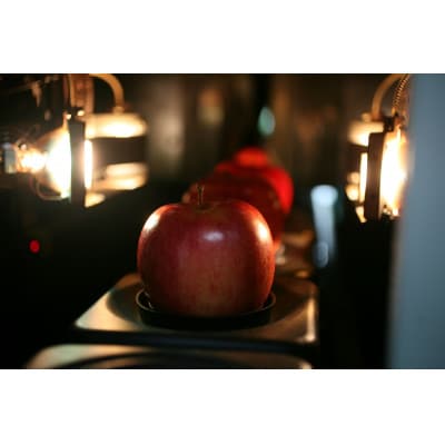 贈り物用【糖度13度選果 サンふじ＆王林＆金星 りんご3種 約4.3kg】鮮度保持剤・保存袋付【配送不可地域：離島・沖縄県】