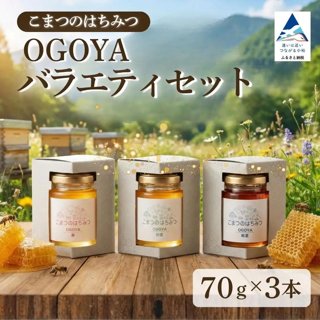 国産はちみつ 70g×3種類 食べ比べ セット 蜂蜜 はちみつ 石川県 小松市