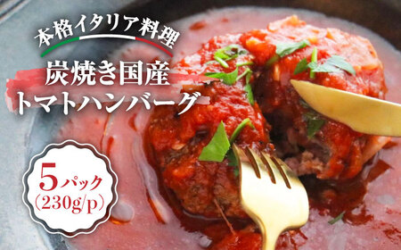 炭焼き 国産 ハンバーグ (トマトソース) 230g×5個＜PUNTO MARE＞那珂川市 ハンバーグ 洋風 洋風 ハンバーグ 洋風 ハンバーグ ハンバーグ [GCB004] 19000 19000円
