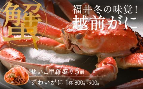 【特別価格期間延長！】【産地直送】福井冬の味覚！越前がに（ずわいがに800～900g 1杯） ＆ せいこ甲羅盛り5個
