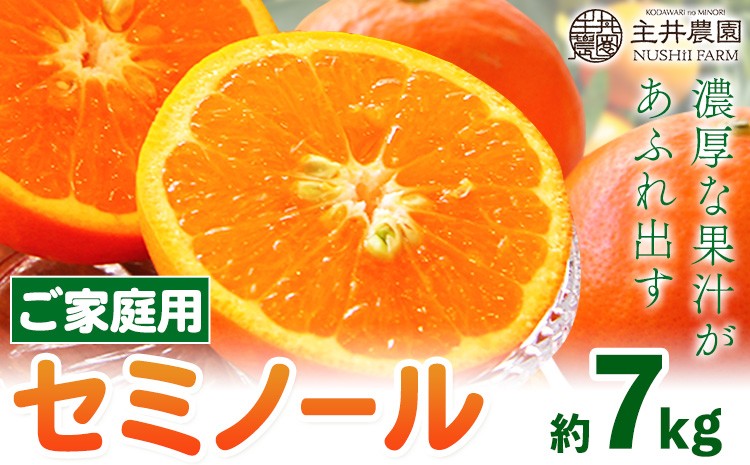 
                  柑橘 ご家庭用セミノール  約7kg 主井農園《4月下旬-5月下旬頃出荷》 和歌山県 日高町 セミノール オレンジ みかん 柑橘 家庭用 希少 送料無料 オレンジ
                