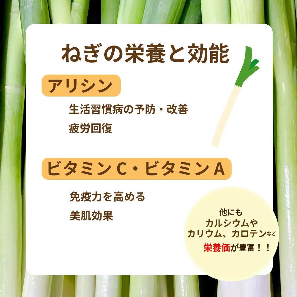 新地町産 長ネギ 約5kg 1箱 | 野菜 やさい 食品 人気 おすすめ 送料無料 ねぎ ネギ 葱 長ねぎ お取り寄せ 福島県 新地町 白ねぎ 鍋