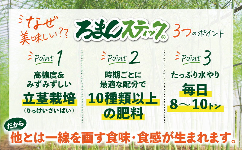 ロマンス農園 ろまんスティック 2Lサイズ 2kg　T049-006