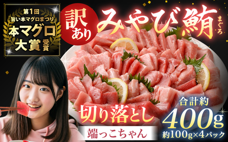 訳あり みやび鮪 切り落とし 端っこちゃん 計約400g（約100g×4） 4～5人前 ／ マグロ 鮪 トロ 本鮪 本マグロ 本まぐろ 冷凍まぐろ 冷凍鮪 まぐろ 赤身 トロ 鮪赤身 鮪トロ 国産鮪 国産まぐろ 切落し きりおとし 魚 海鮮 刺身 刺し身 冷凍 長崎 長崎県 長崎市