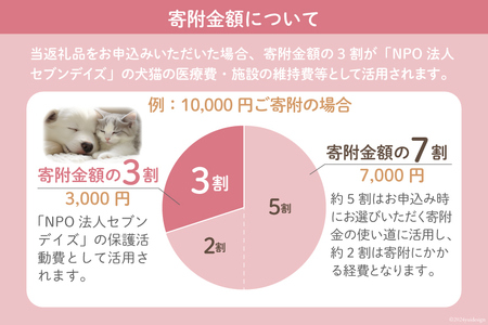 犬猫保護活動への支援【お礼の品なし】 [NPO法人セブンデイズ 福岡県 筑紫野市 21760726] 保護 動物 犬 猫 犬猫 保護犬 支援 応援