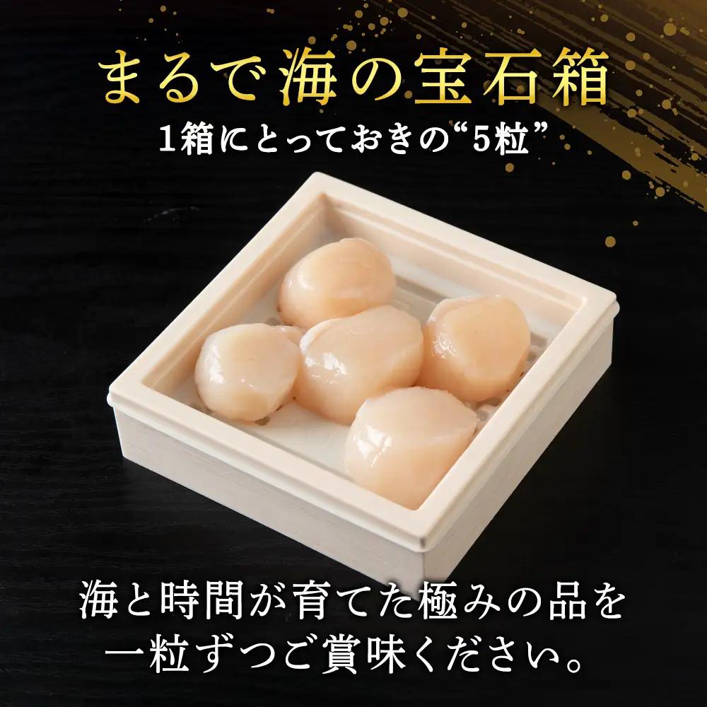 熟成濃縮ほたて貝柱(5玉入)×5