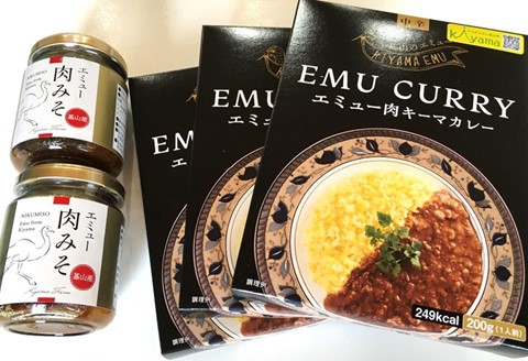 エミューキーマカレー(中辛)・肉みそ2瓶【エミュー 基山産 高タンパク 高鉄分 低カロリー ヘルシー 鉄分補給 簡単 手軽 カレー レトルト ご飯の友 貴重 ダイエット】 A3-A006008