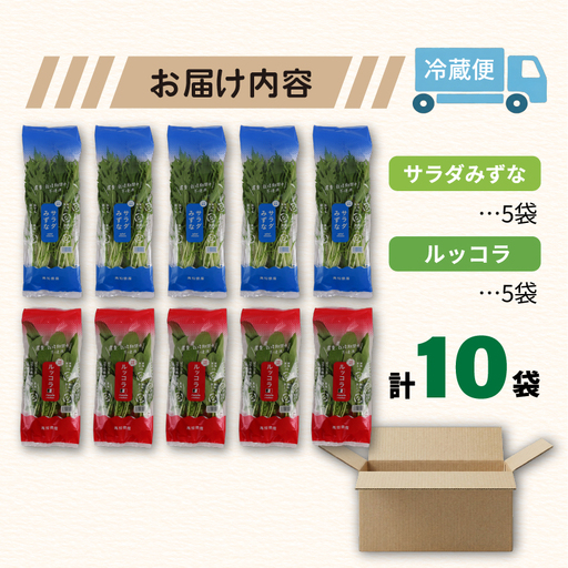 2種セット サラダみずな ルッコラ サラダセット | 水菜 水耕 栽培 新鮮 葉物 野菜 ドレッシング 南国市