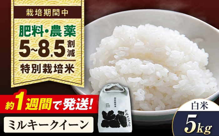 
                  【令和8年産 新米】米 ミルキークイーン 5kg 白米 特別栽培米  長浜市/株式会社お米の家倉 [AQCP020] 米 お米 白米  5kg  ミルキークイーン 特別栽培米  滋賀県産 長浜市産 こめ 精米 お米  食品 国産 炊きたて 米ギフト もちもち ブランド米  食卓 美味しい 人気 ごはん ご飯 おにぎり 炊き込みご飯 おすすめ プレゼント 贈答
                