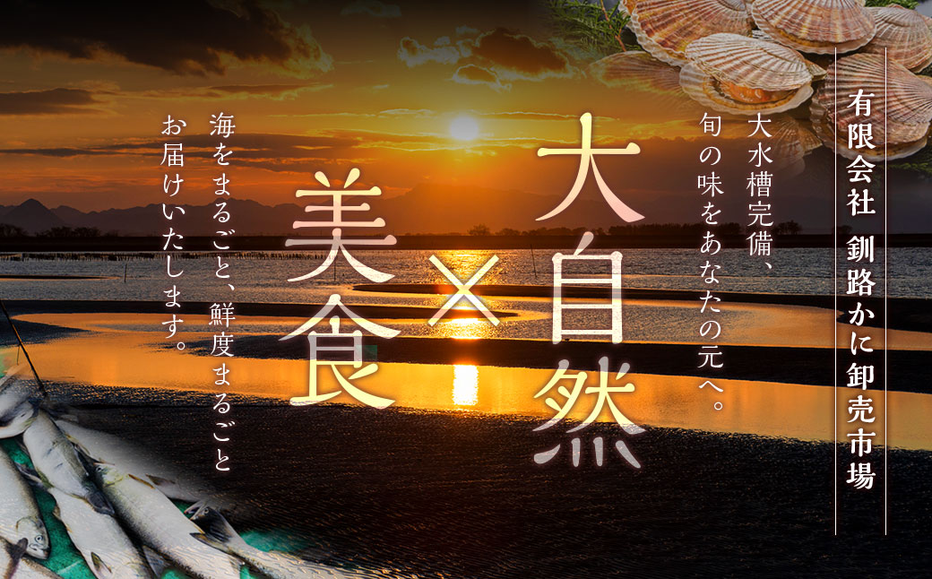 【訳あり】明太子［特］切子1kg&鮭明太90g ふるさと納税 明太子 F4F-0472