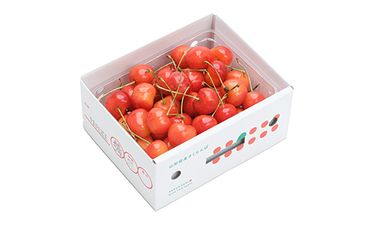 先行予約 さくらんぼ やまがた紅王  秀2Lサイズ バラ詰め 500g べにおう プレゼント ギフト フルーツ 果物 2026年産 令和8年産 山形県産 ns-ybs2b500