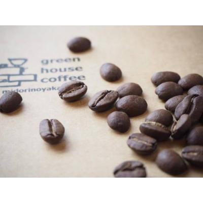 ふるさと納税 下呂市 緑の館 / ハワイ・コナ 豆 200g 珈琲 珈琲豆 コーヒー豆【17-97】 |  | 01